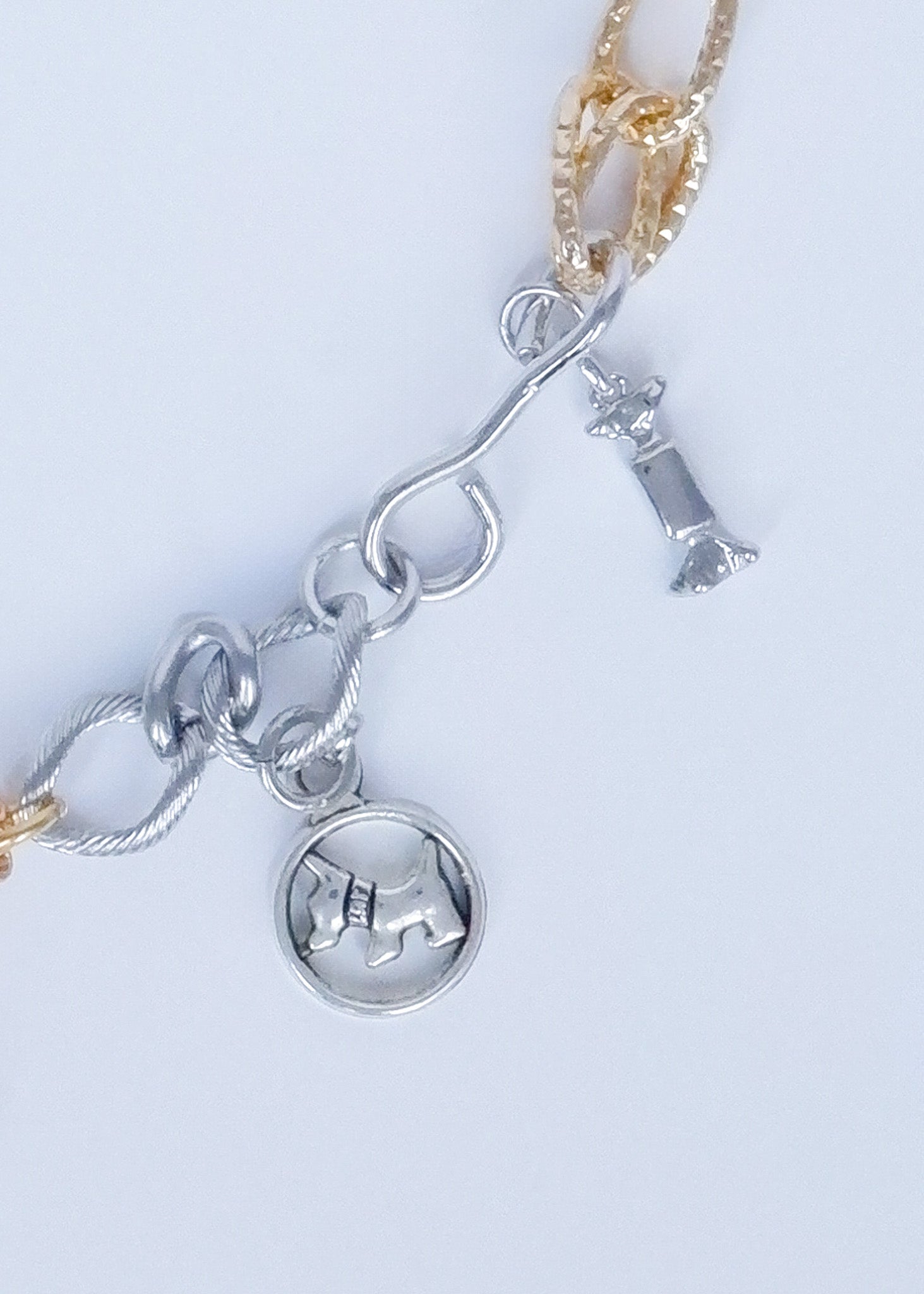 Limited Charm Necklace(95)