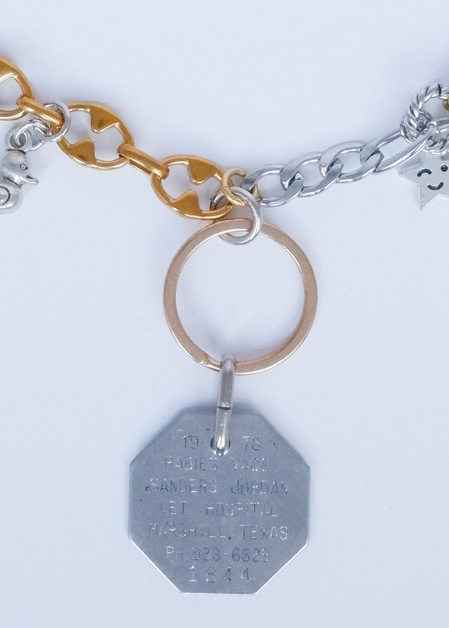 Limited Charm Necklace(1644)