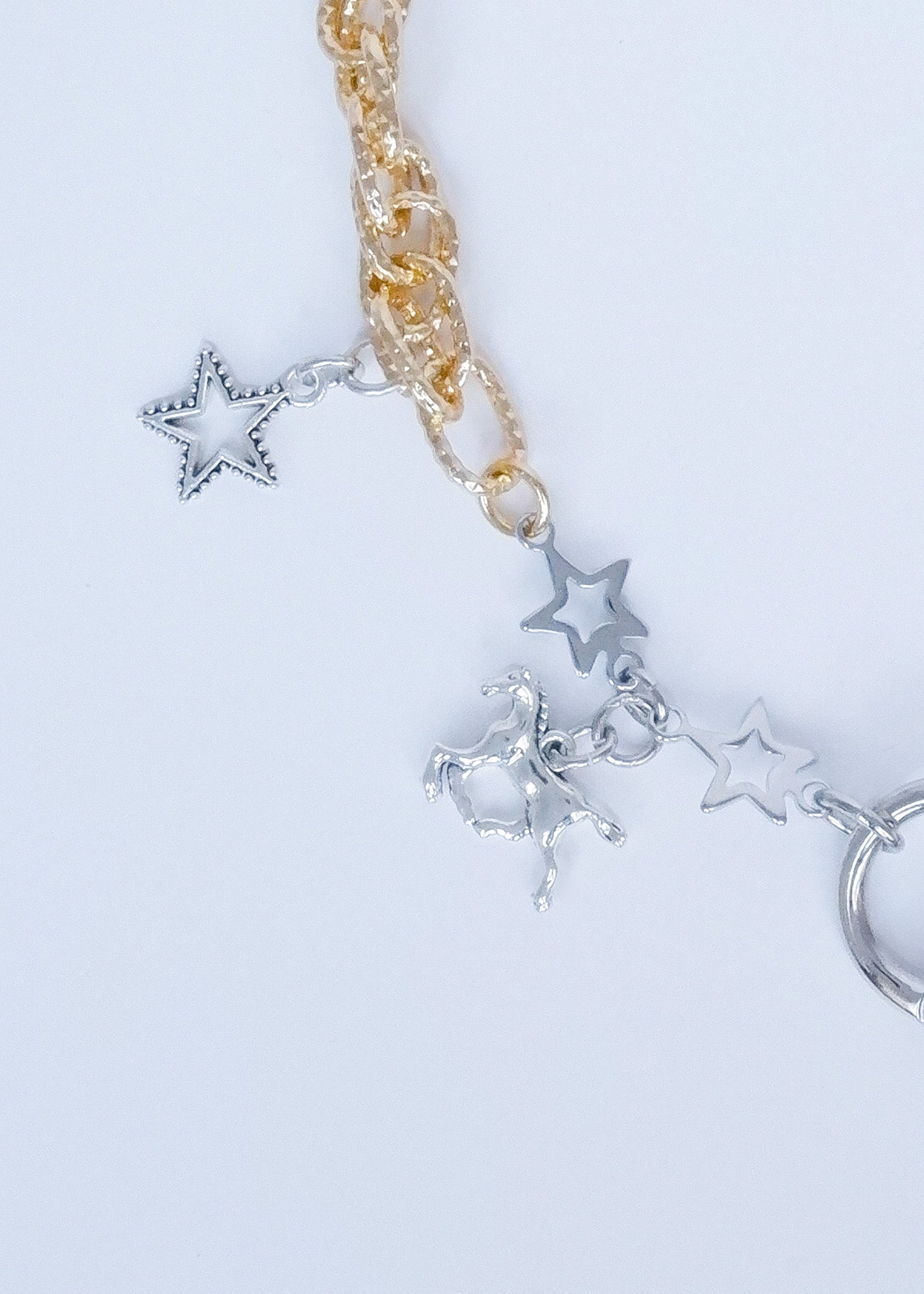 Limited Charm Necklace(98)
