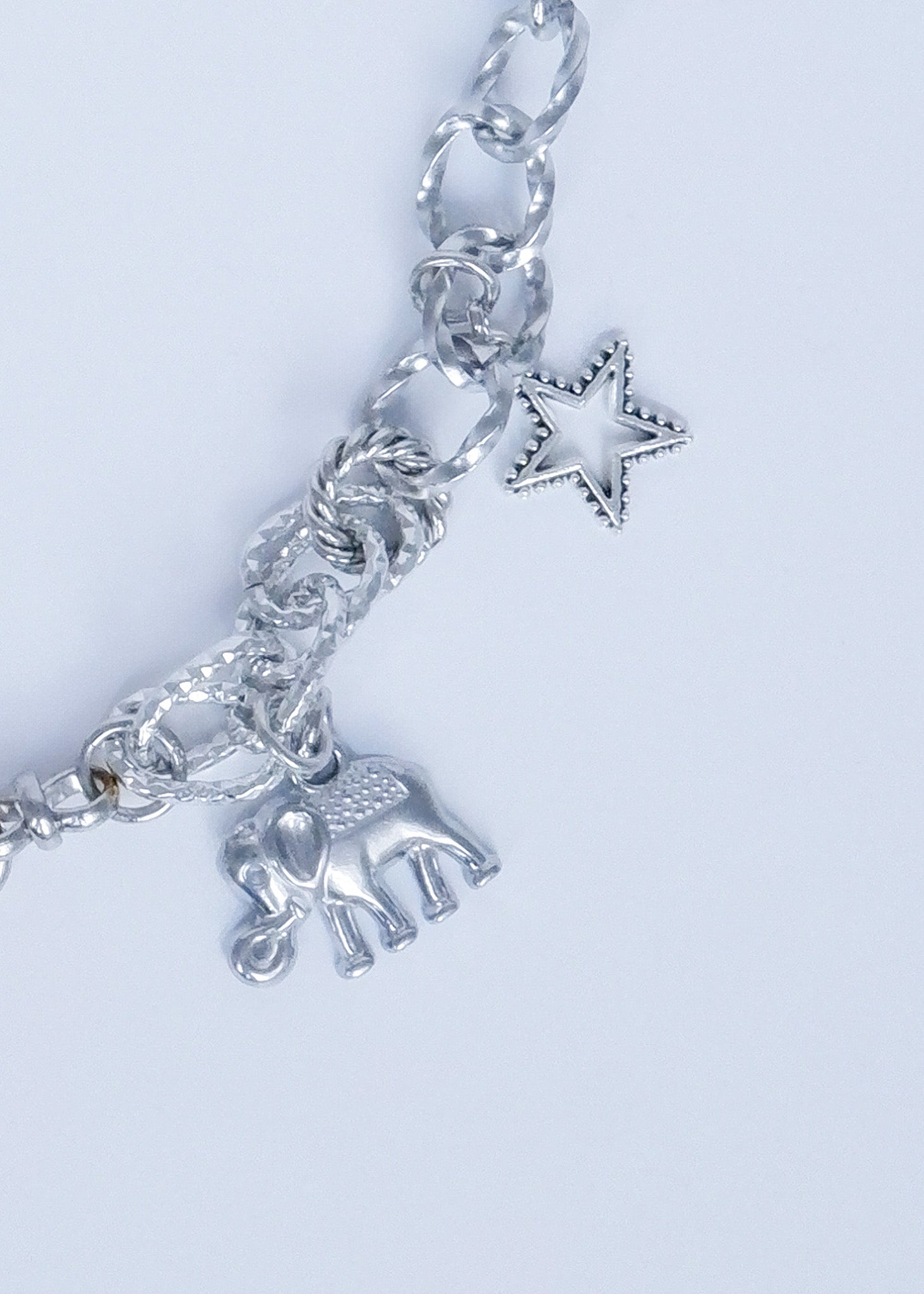 Limited Charm Necklace(35)
