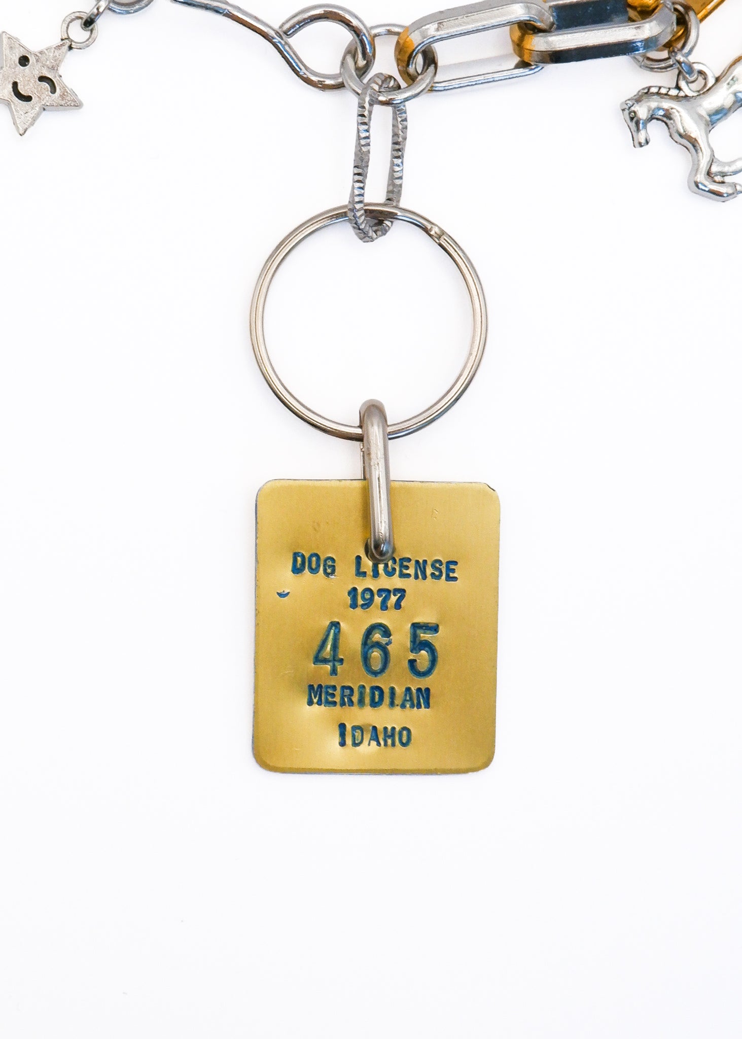 Limited Charm Necklace(7)