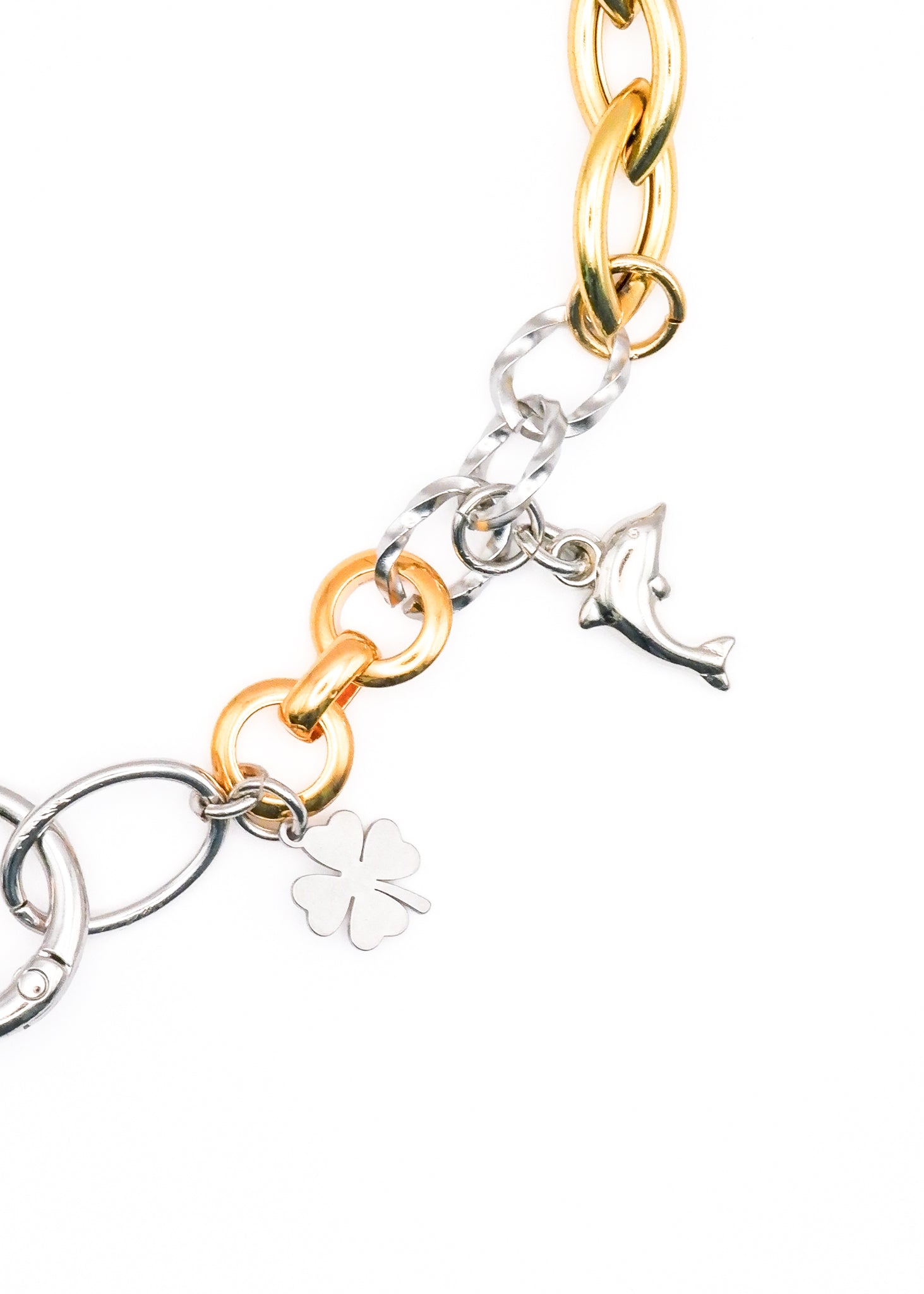 Limited Charm Necklace(2)