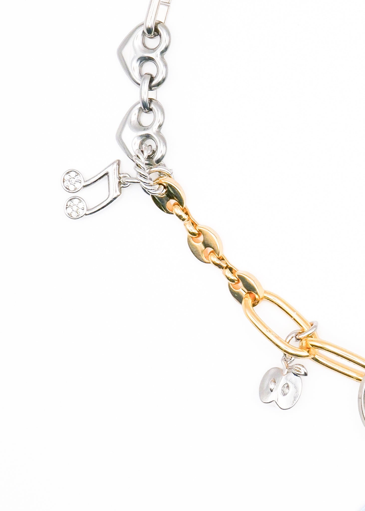 Limited Charm Necklace(2)