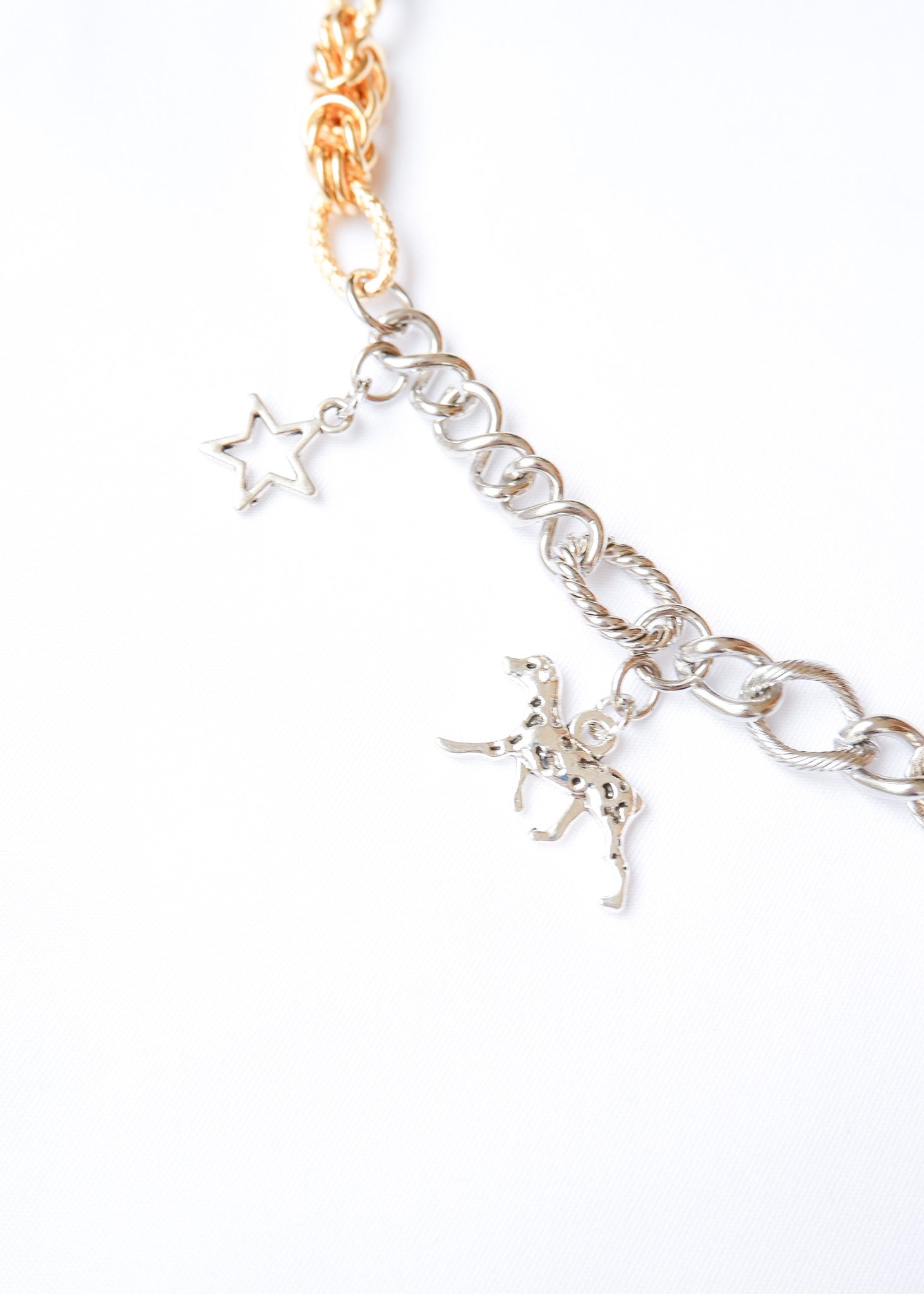 LIMITED CHARM NECKLACE /2019