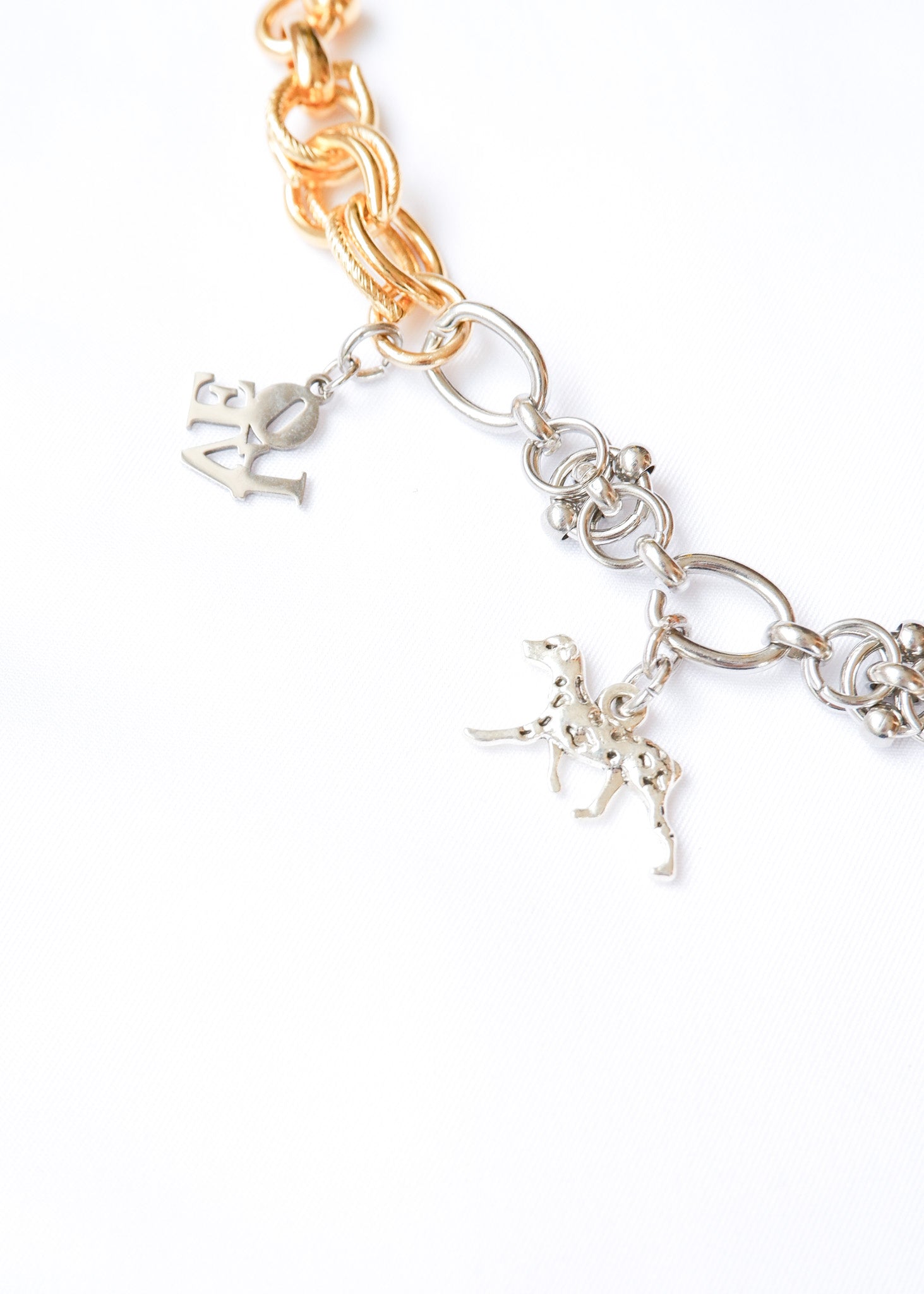 LIMITED CHARM NECKLACE /205