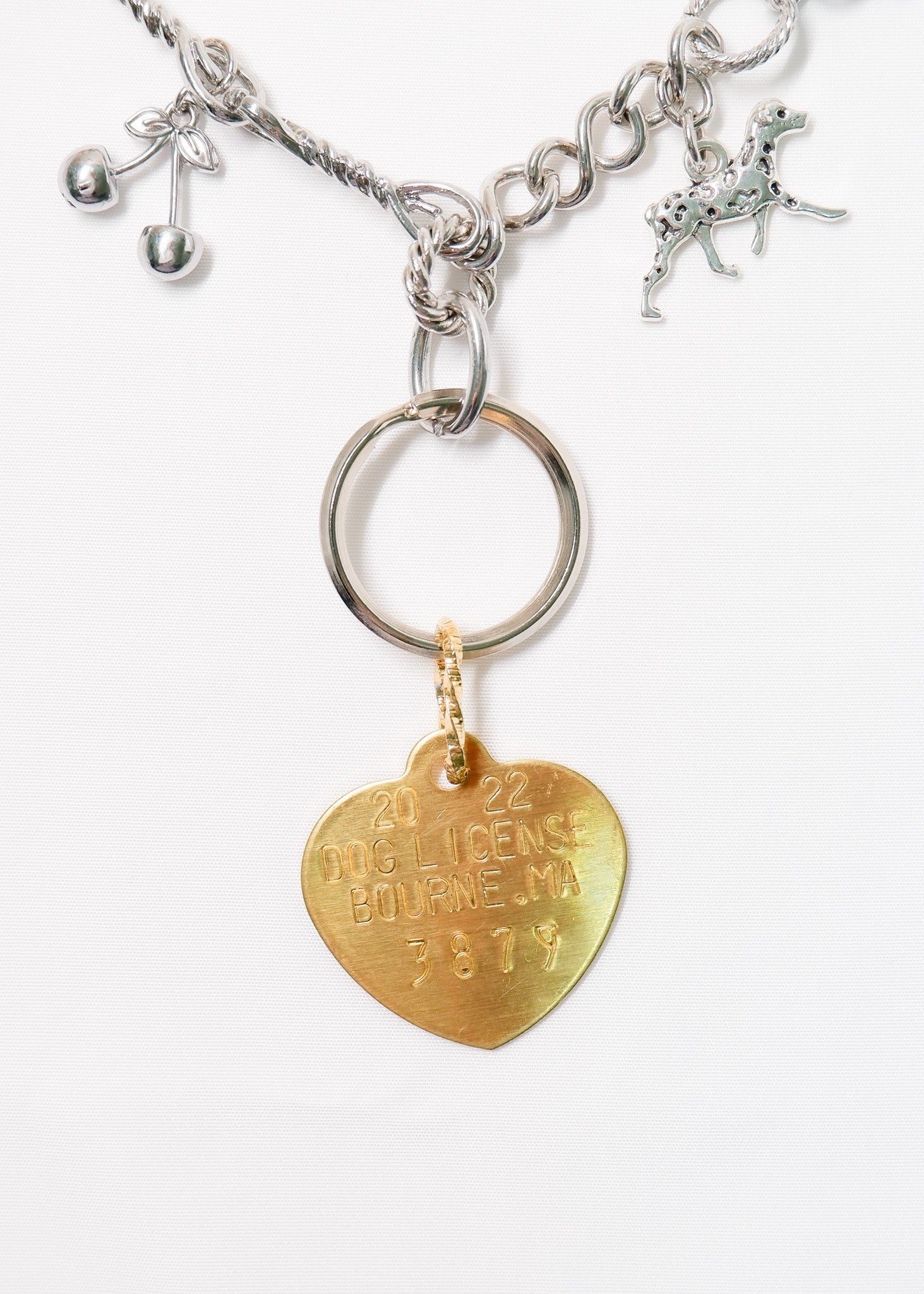 LIMITED CHARM NECKLACE /3879