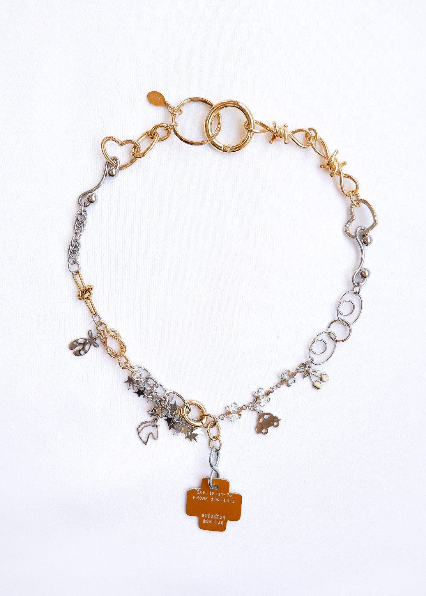 LIMITED CHARM NECKLACE /313