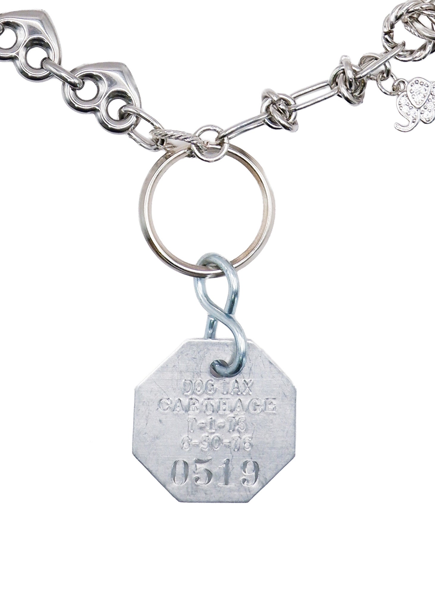 Limited Charm Necklace(519)