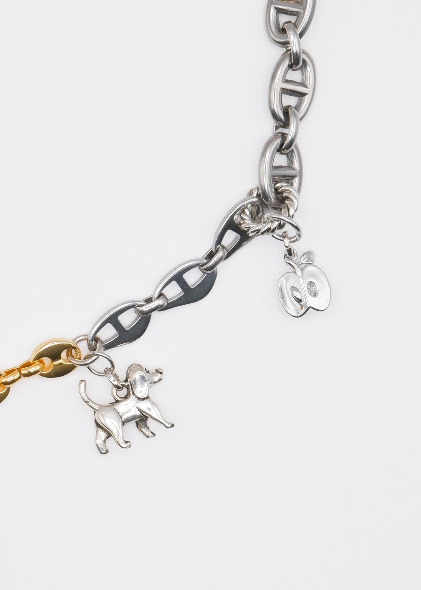 Limited Charm Necklace(3)