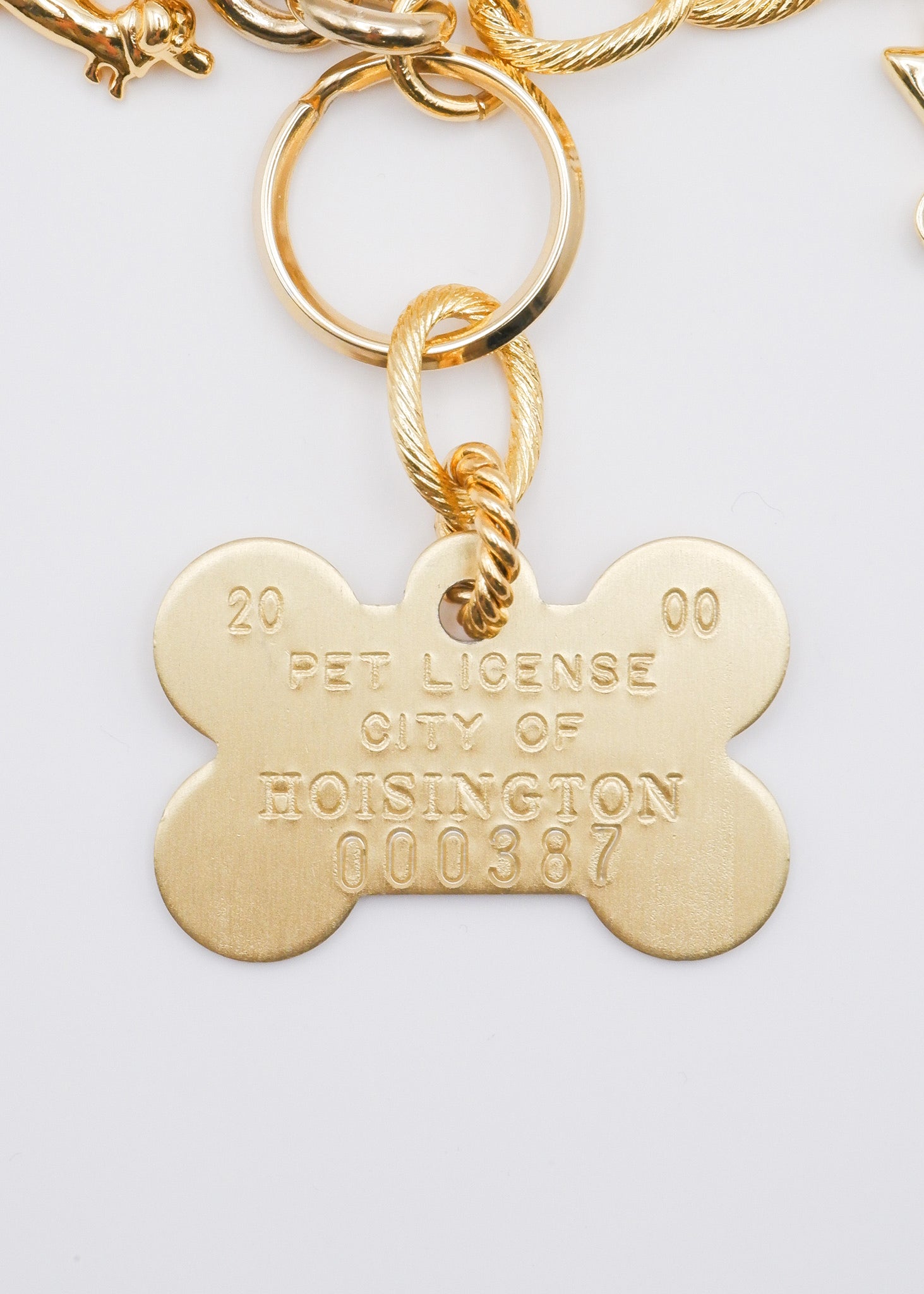 Limited Charm Necklace(4)