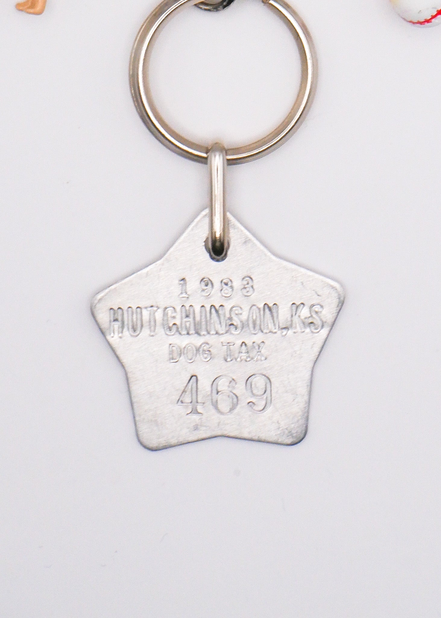 Limited Charm Necklace(1)
