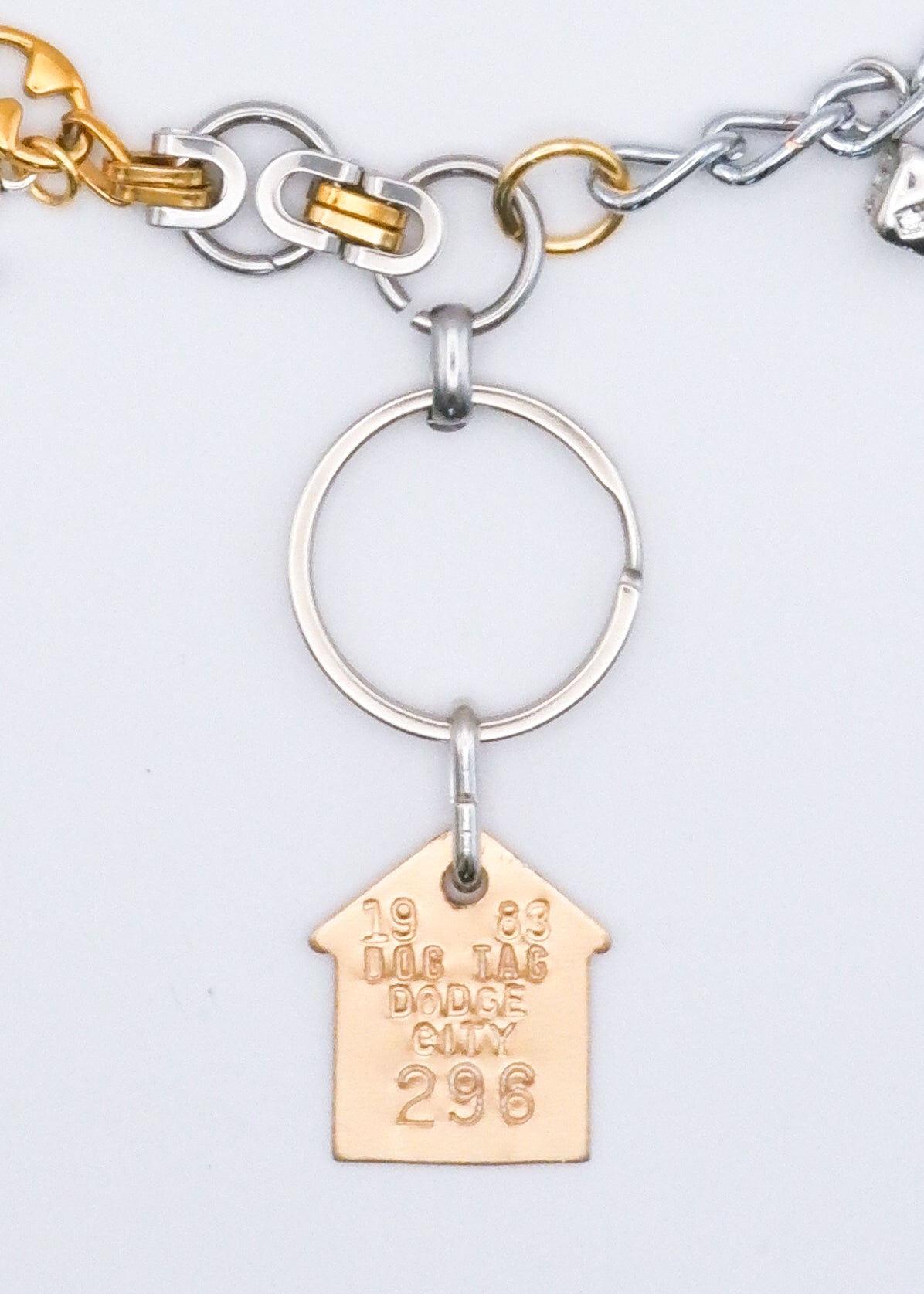 Limited Charm Necklace(296)