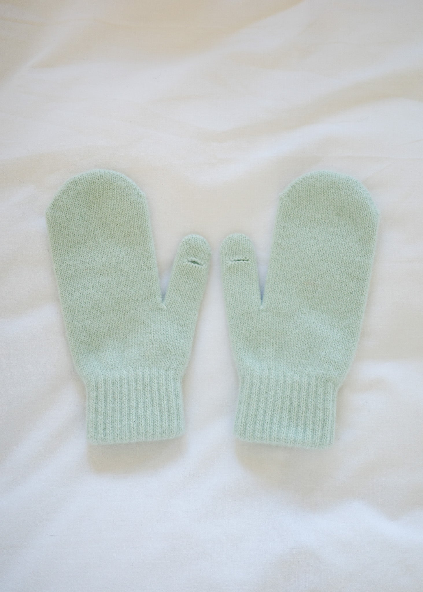 Premium Ramwool / Poline Gloves