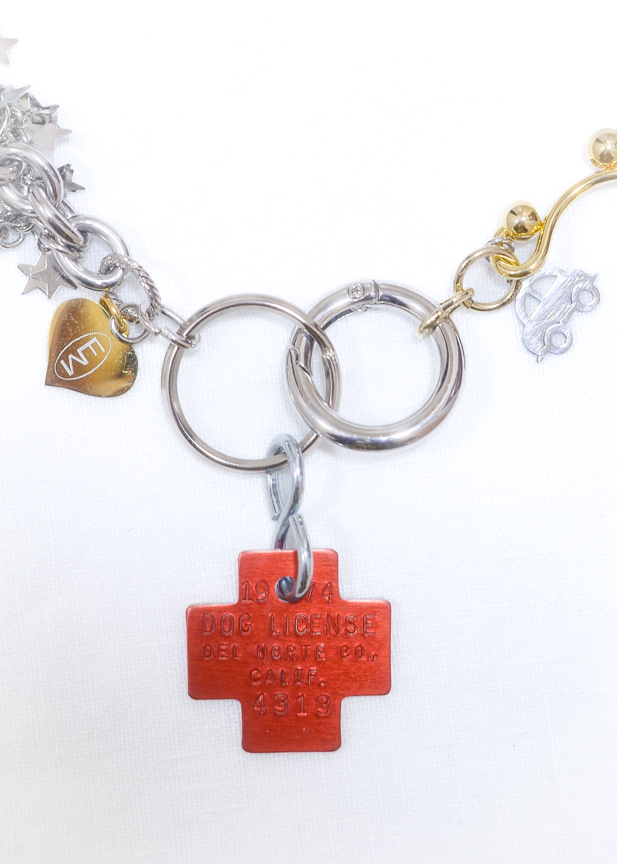 LIMITED CHARM NECKLACE / 4313