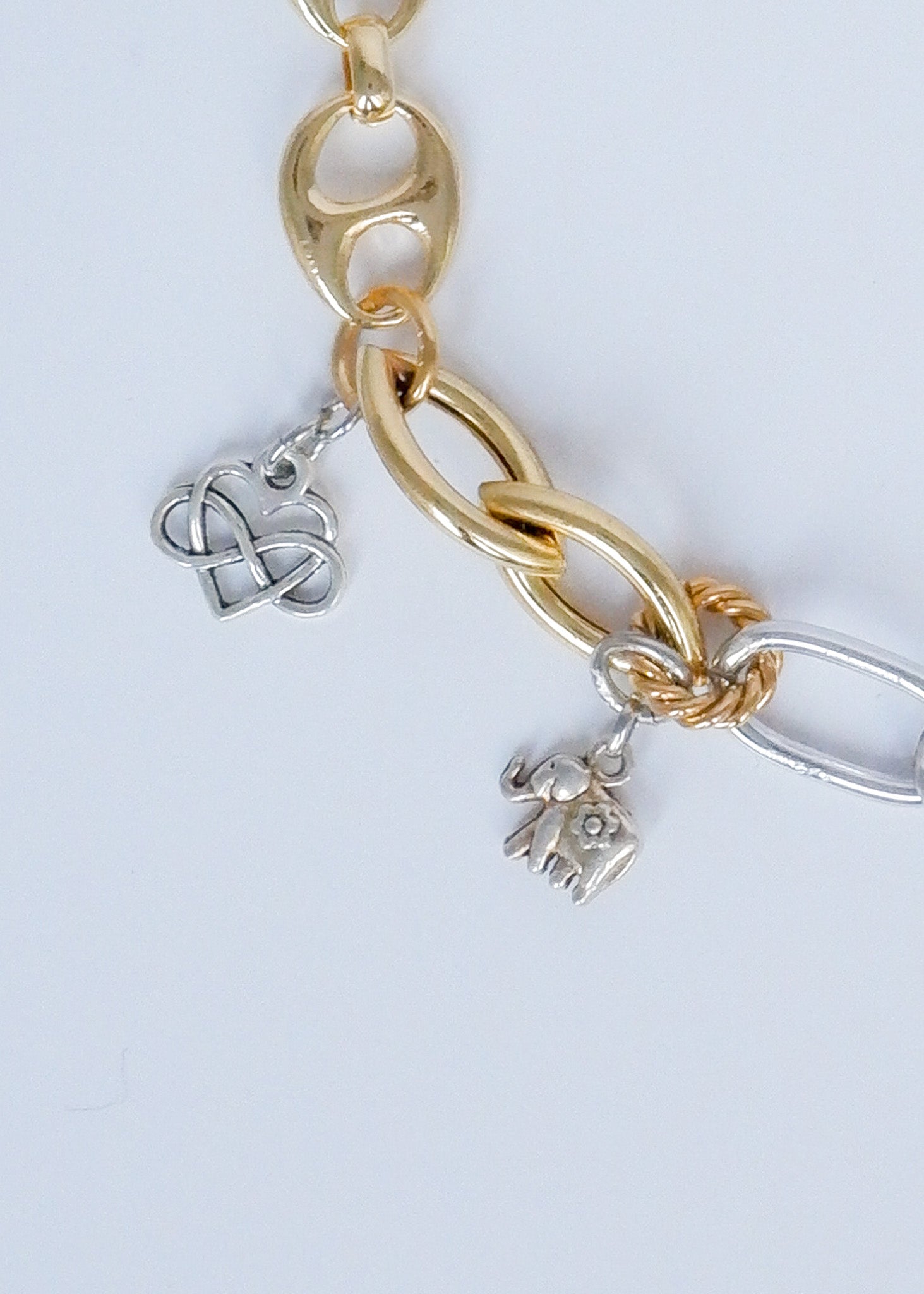 Limited Charm Necklace（295）