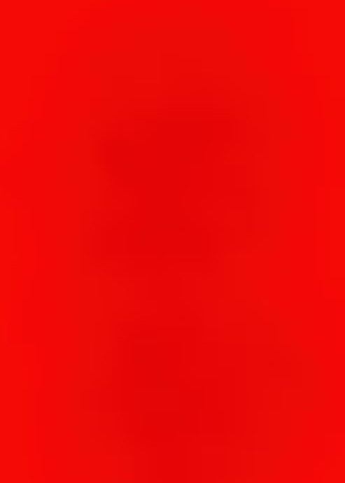 GACHA ⭐️ LIMITED CHARM NECKLACE