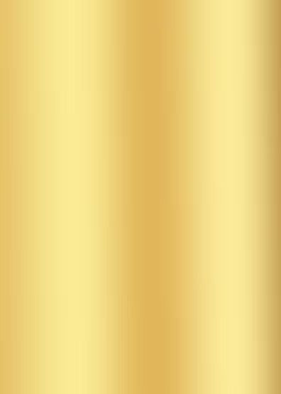 GACHA ⭐️ LIMITED CHARM NECKLACE