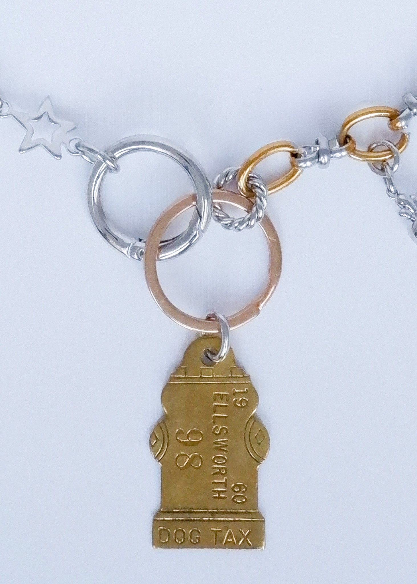 Limited Charm Necklace（98）