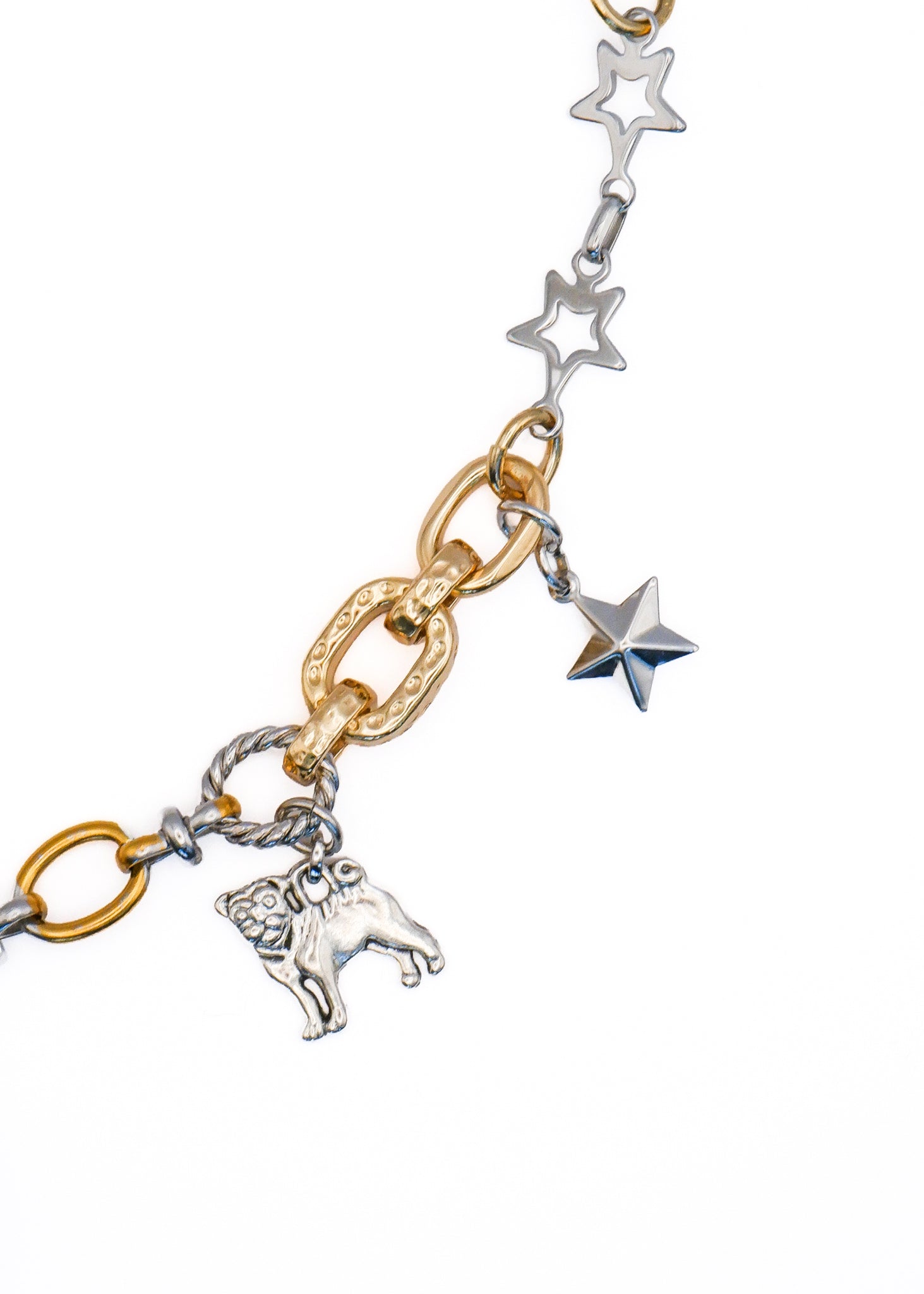 Limited Charm Necklace（5）