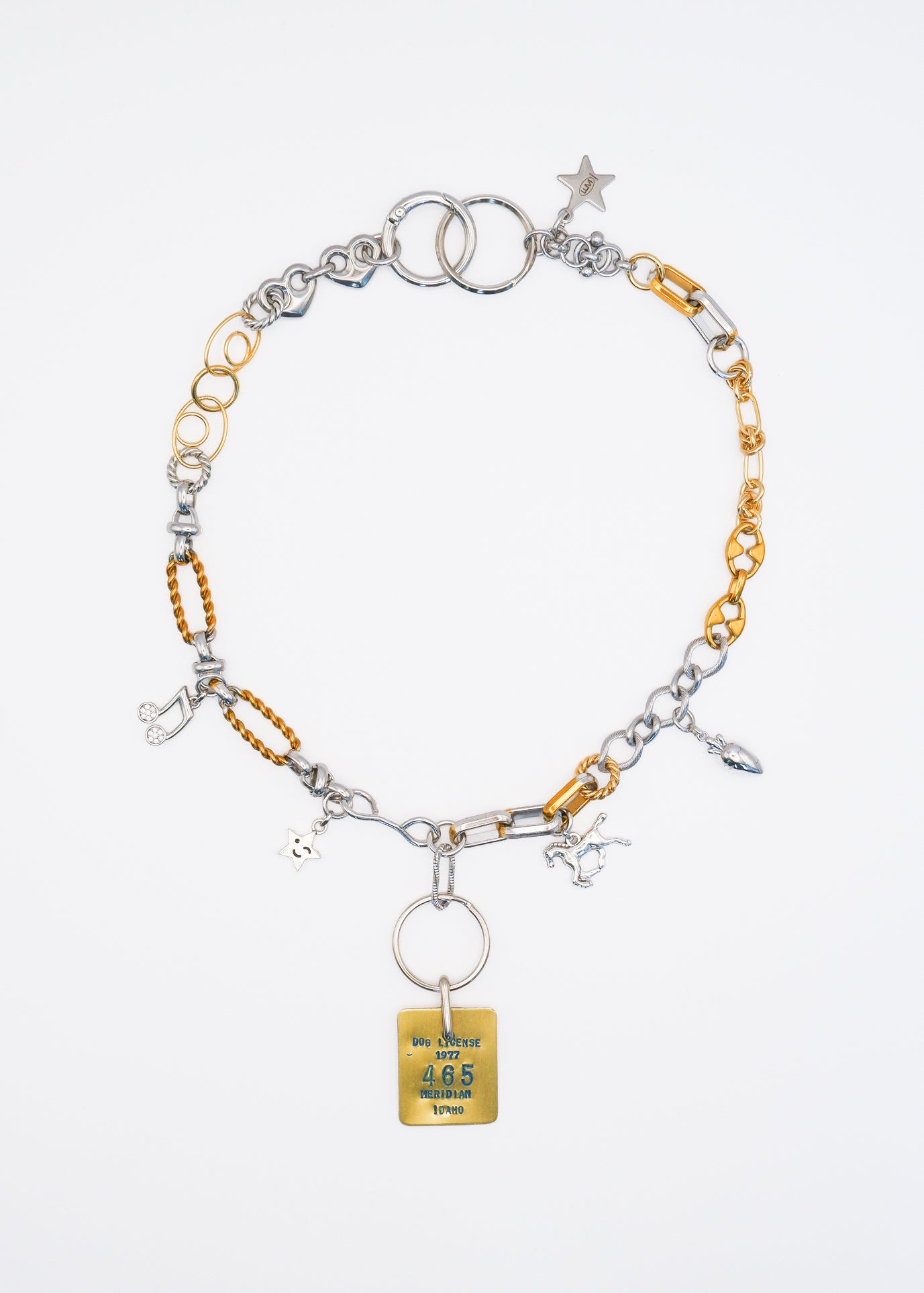 Limited Charm Necklace（7）