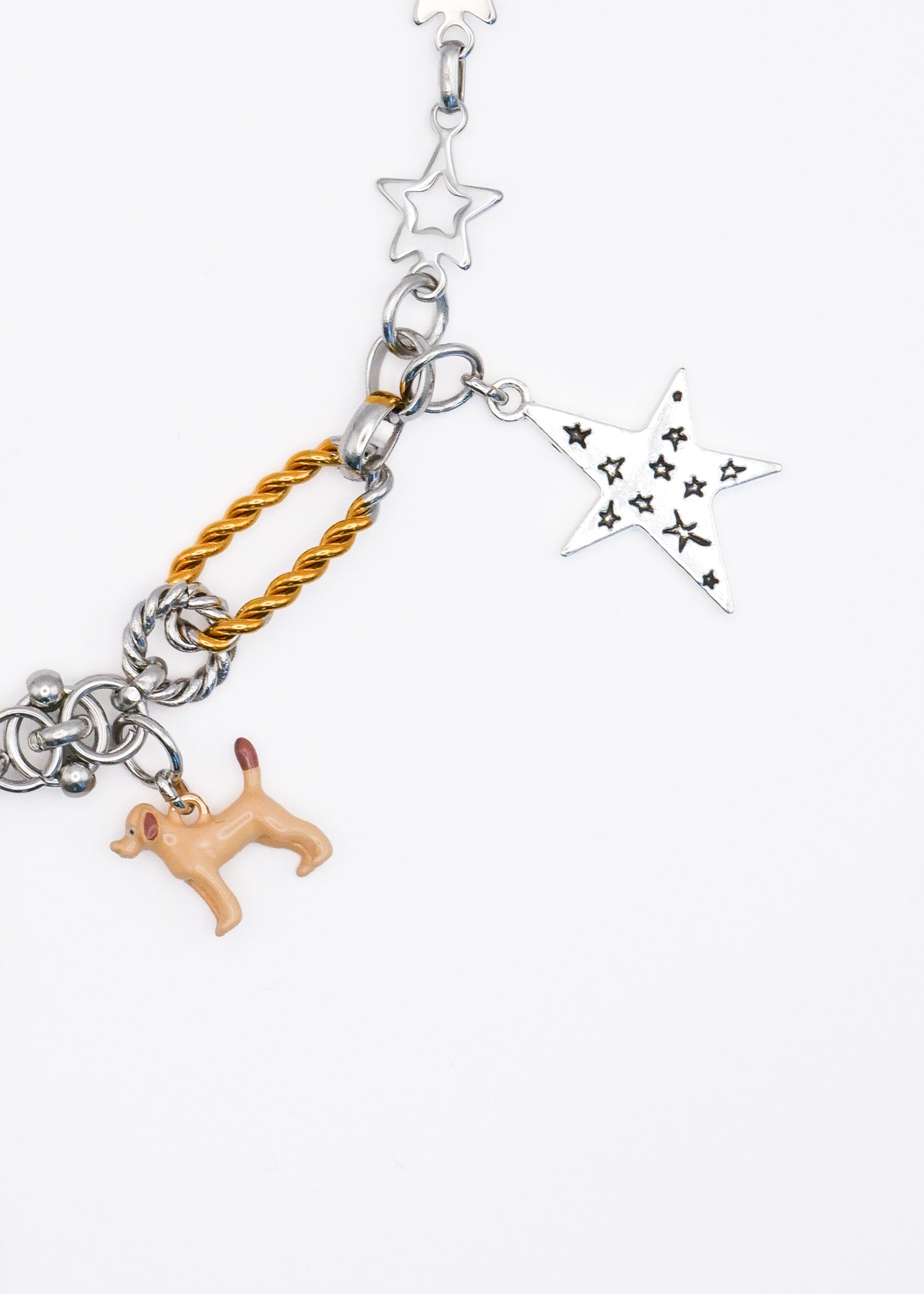 Limited Charm Necklace（6）