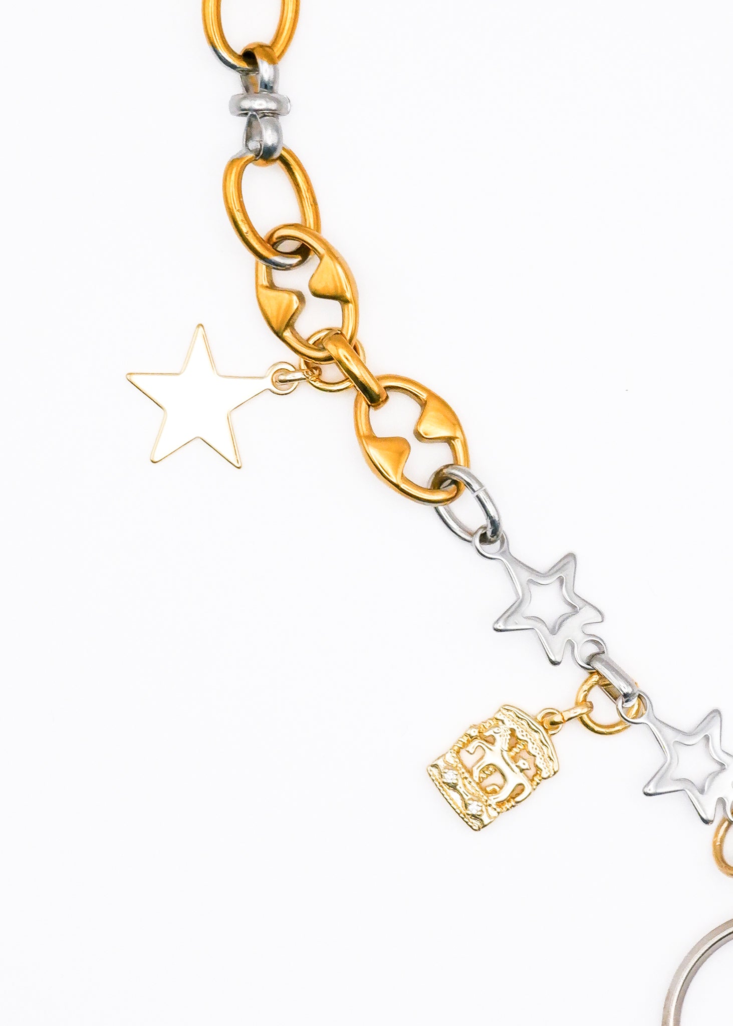 Limited Charm Necklace（1）