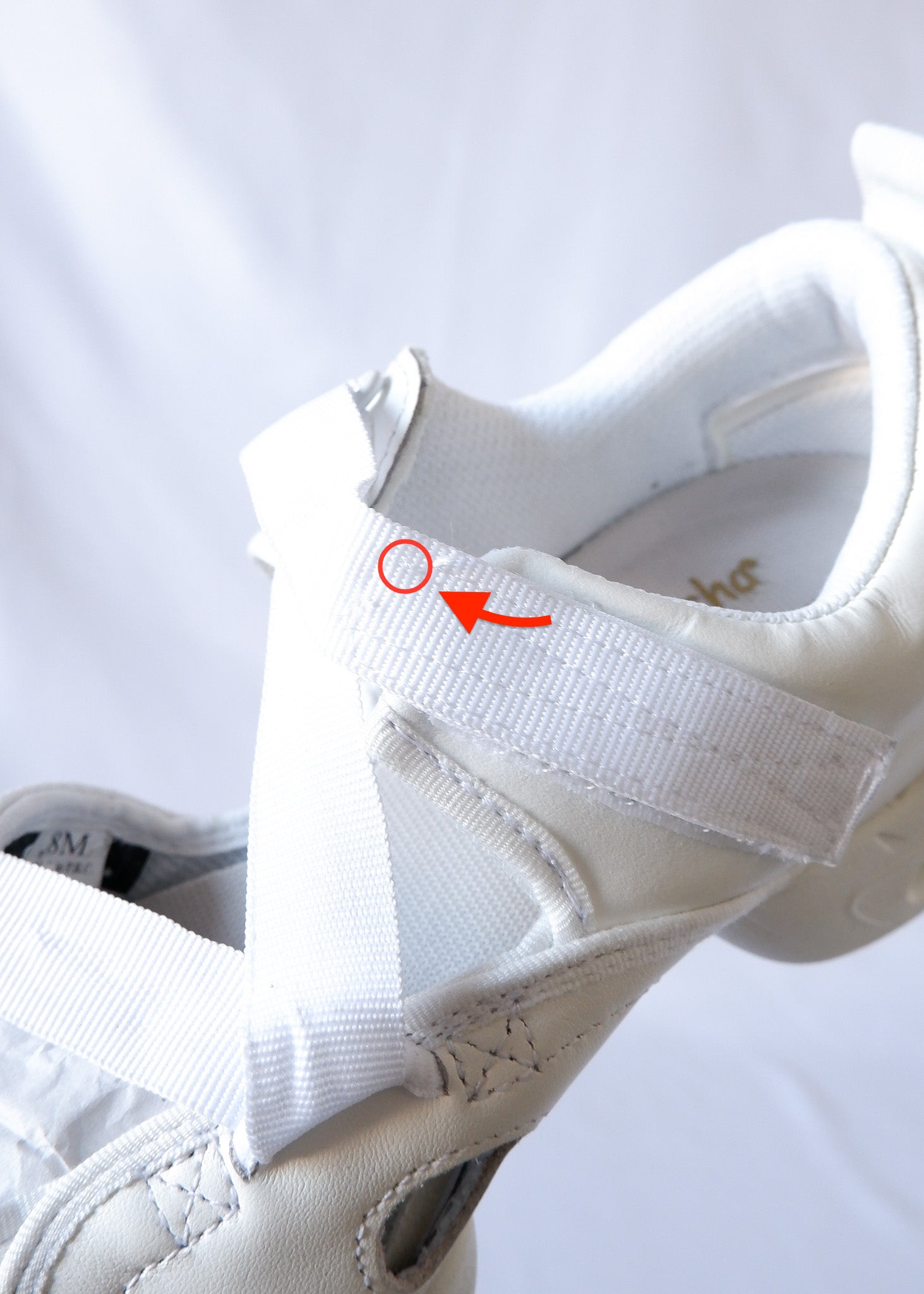 【SALE】White Canvas | 8M P-1