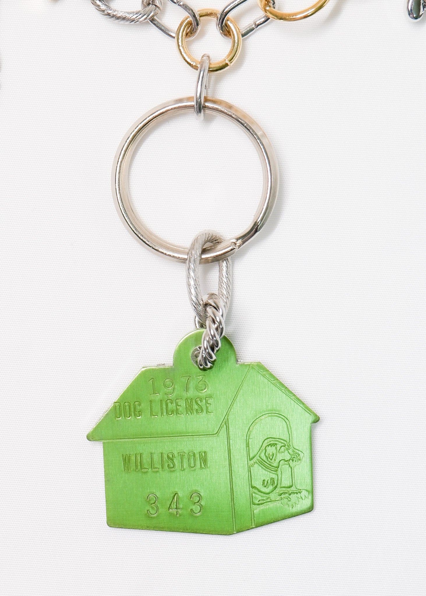 LIMITED CHARM NECKLACE /343