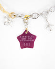 LIMITED CHARM NECKLACE /101