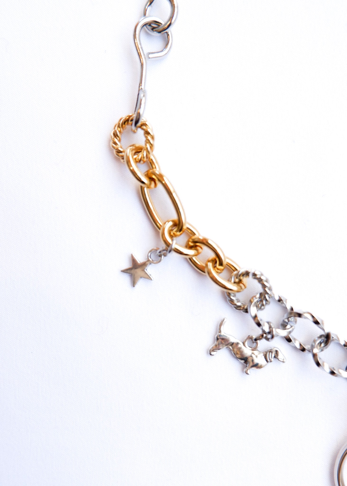 LIMITED CHARM NECKLACE /294