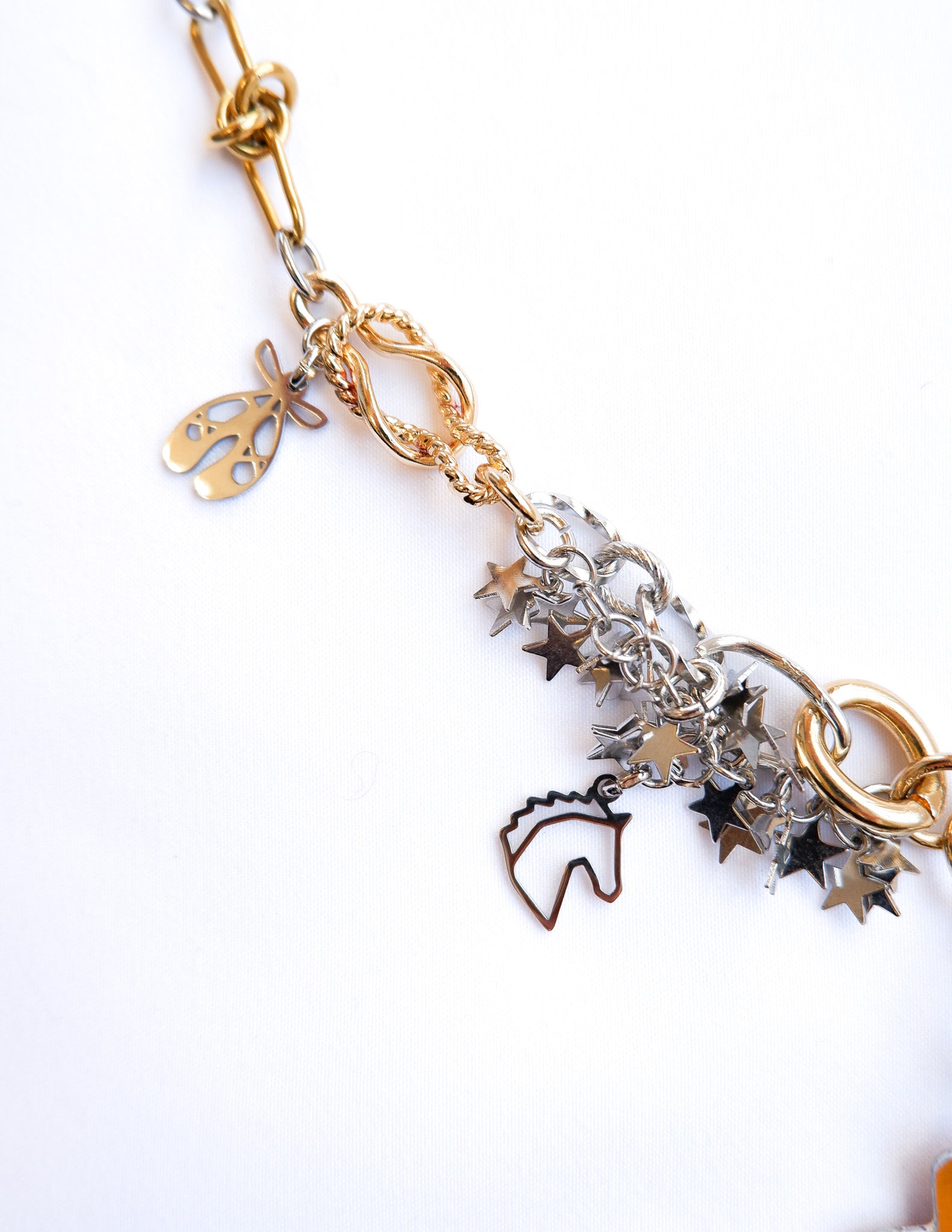 LIMITED CHARM NECKLACE /313