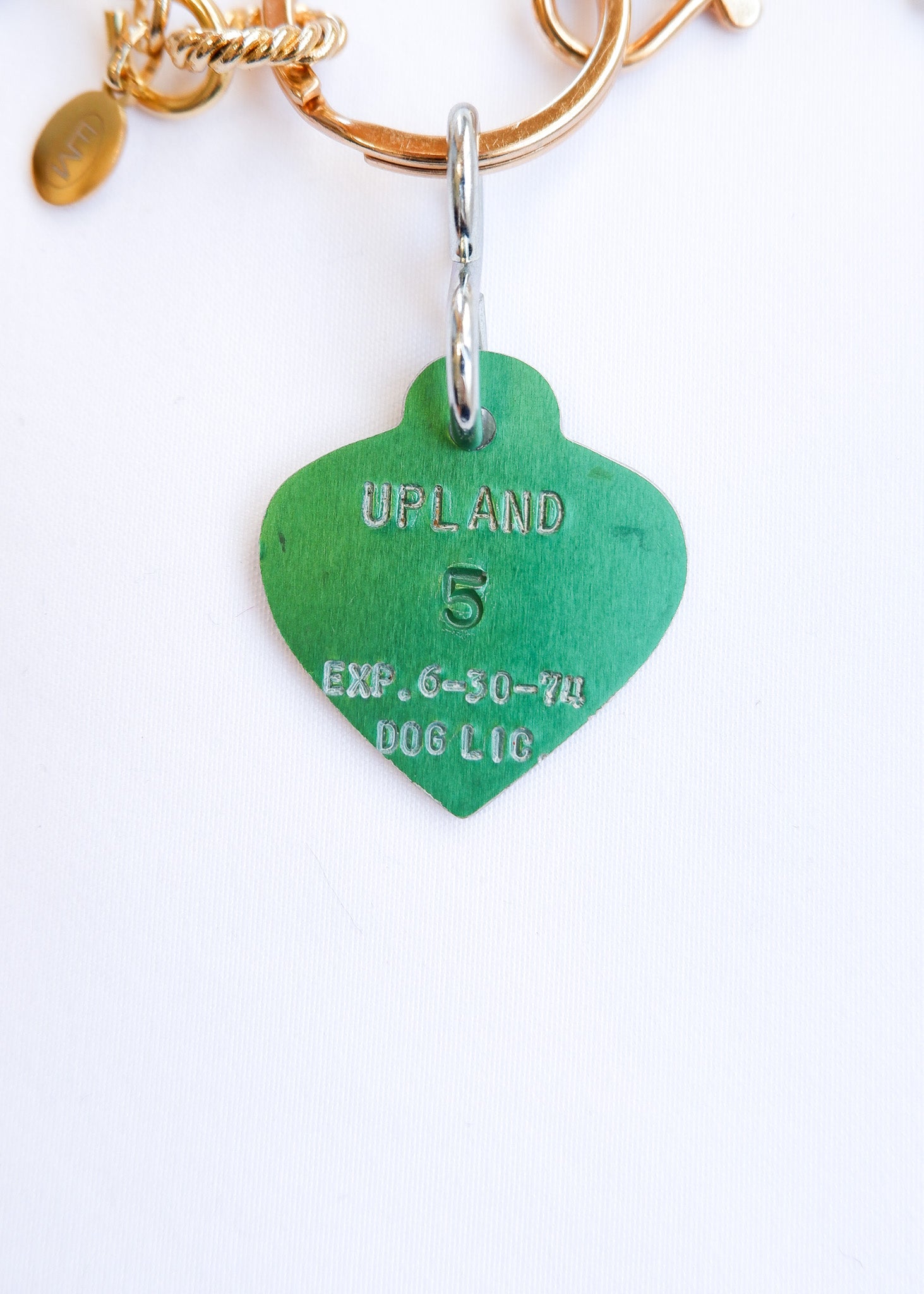 LIMITED CHARM NECKLACE /5
