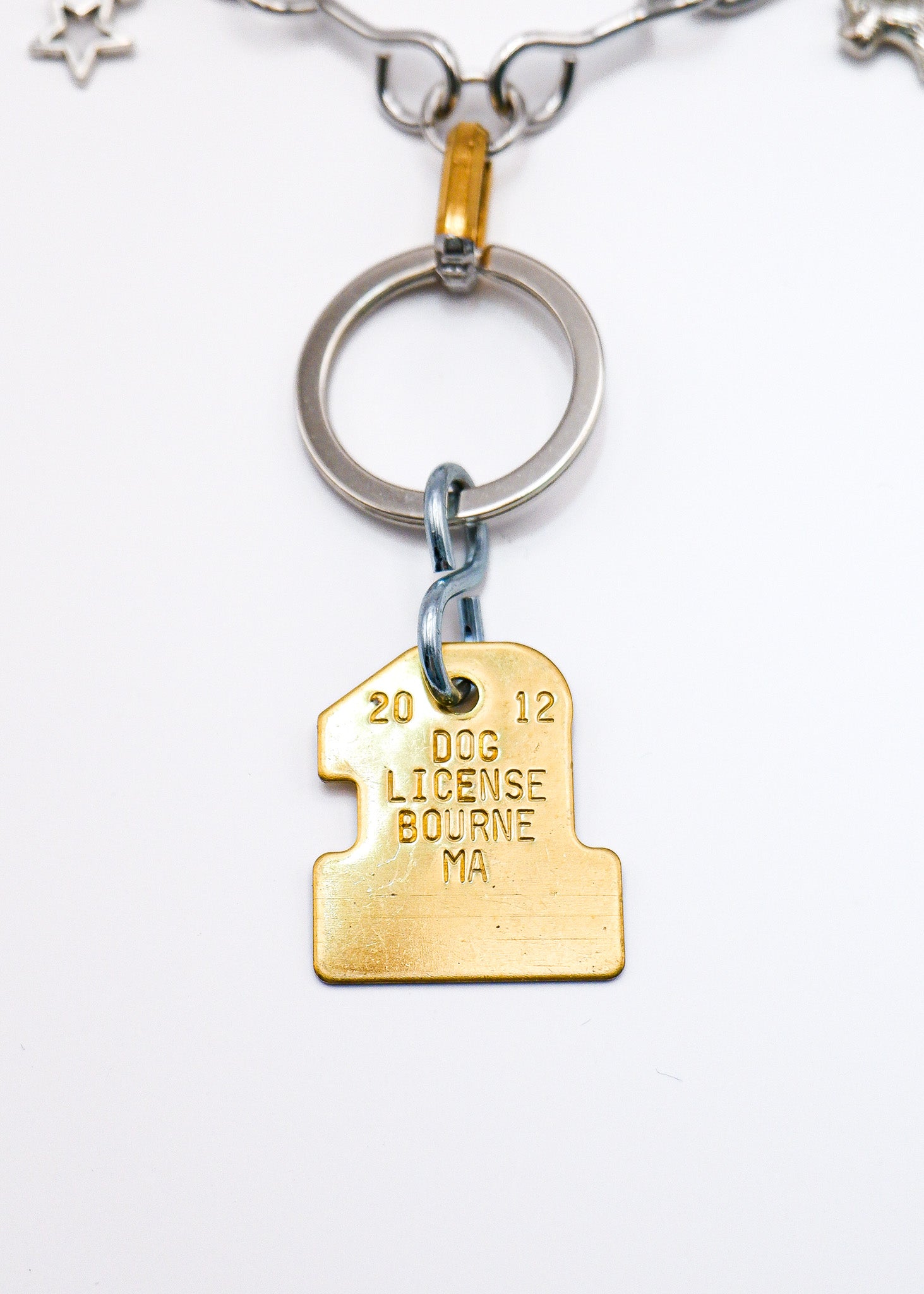 LIMITED CHARM NECKLACE /2012