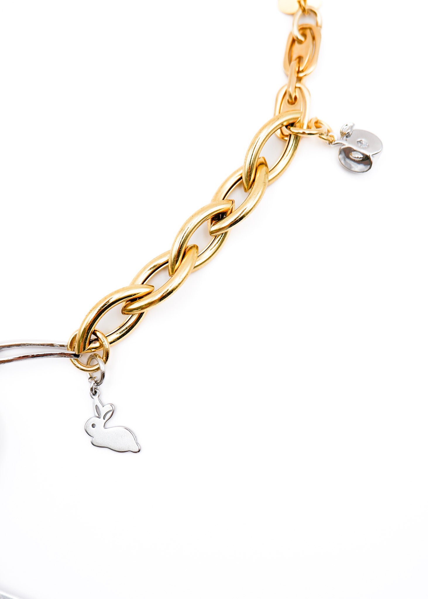 LIMITED CHARM NECKLACE /186