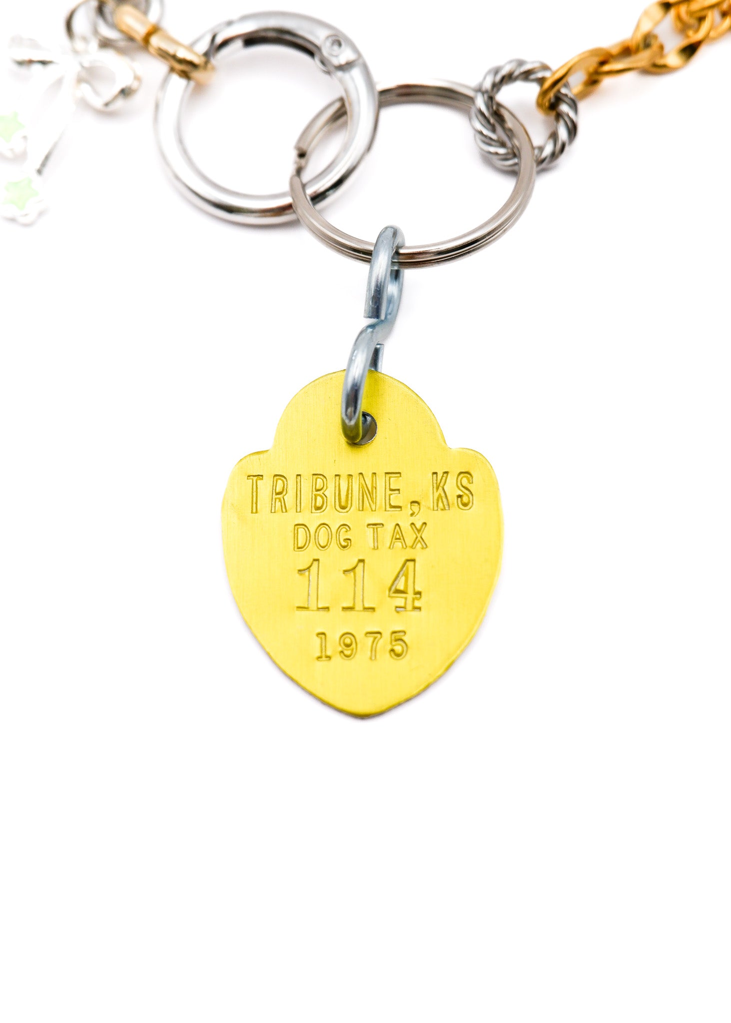 LIMITED CHARM NECKLACE / 114