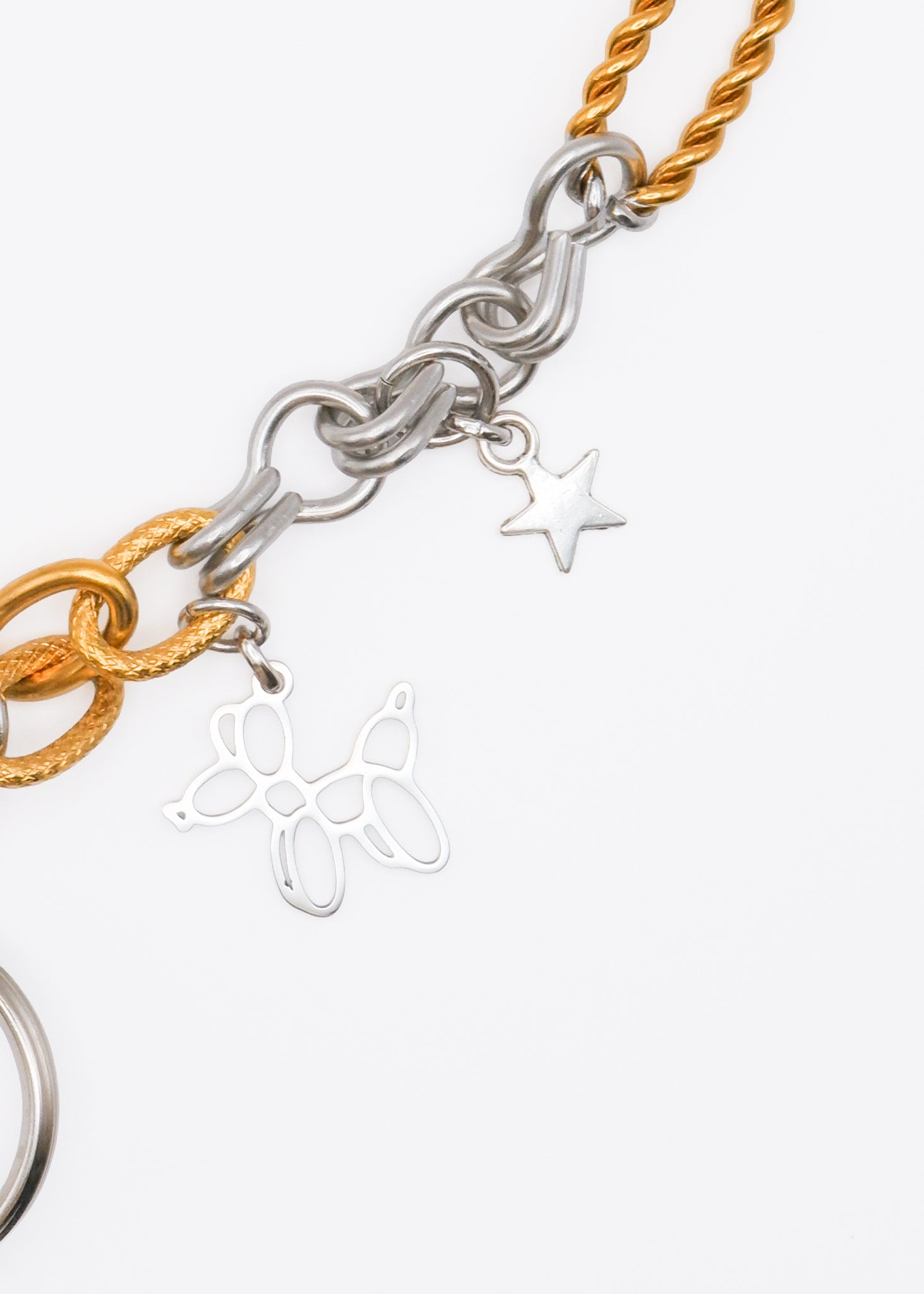 Limited Charm Necklace（10）