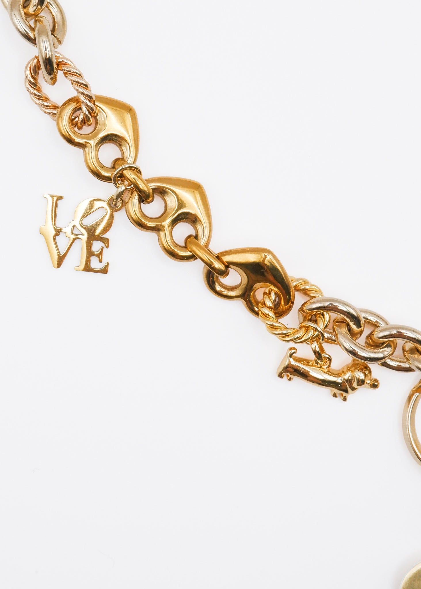 Limited Charm Necklace（4）