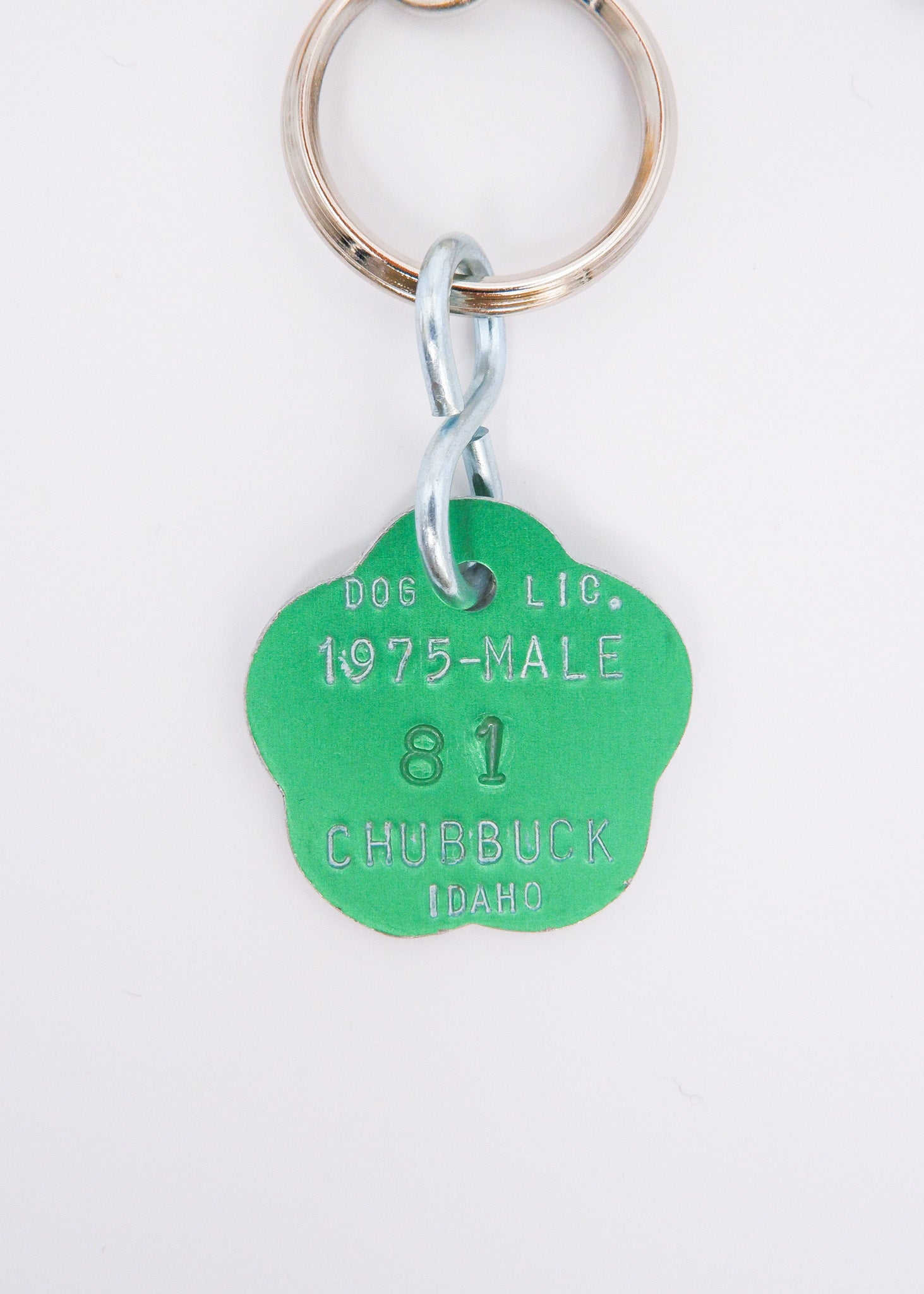 Limited Charm Necklace（5）
