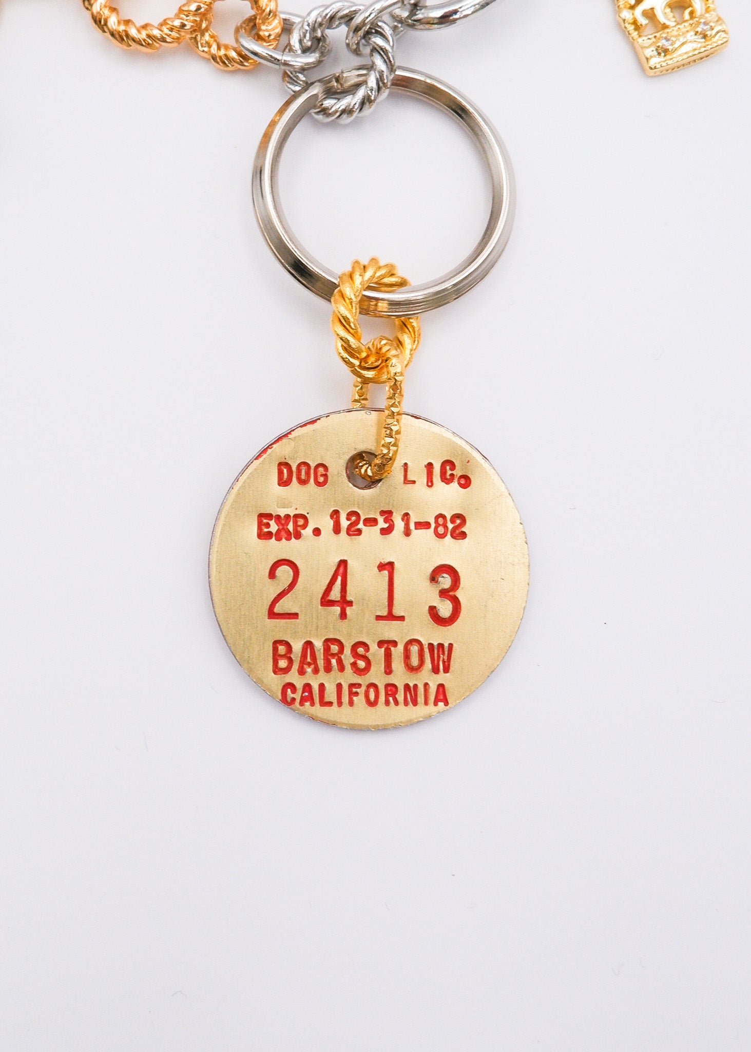 Limited Charm Necklace（10）