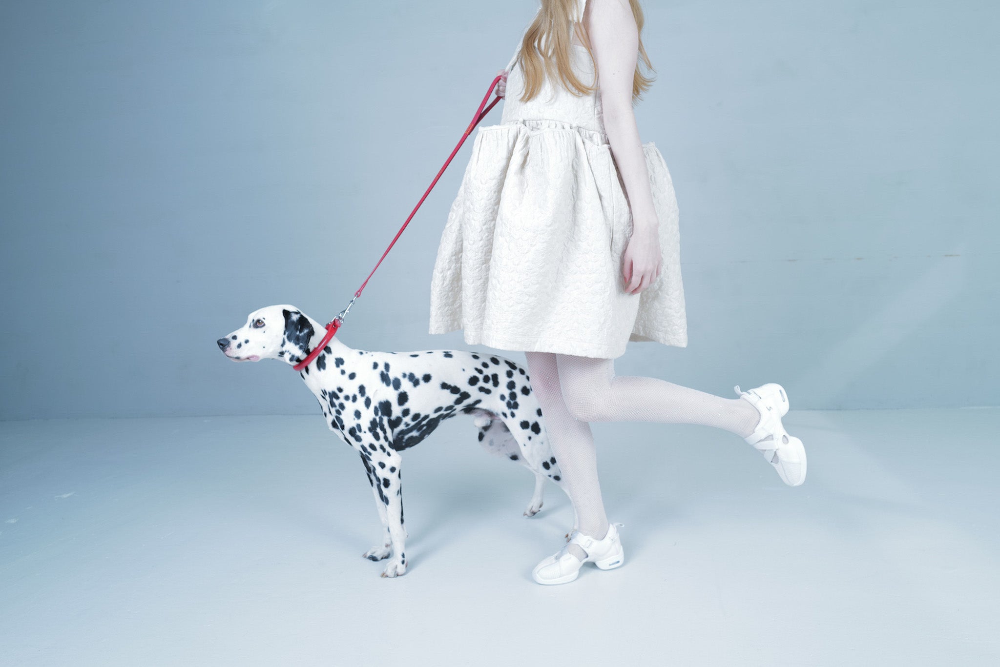 Foundry Mews 　ホワイトキャンバススニーカー Foundry Mews/ファウンドリーミューズ】White Canvas shoes