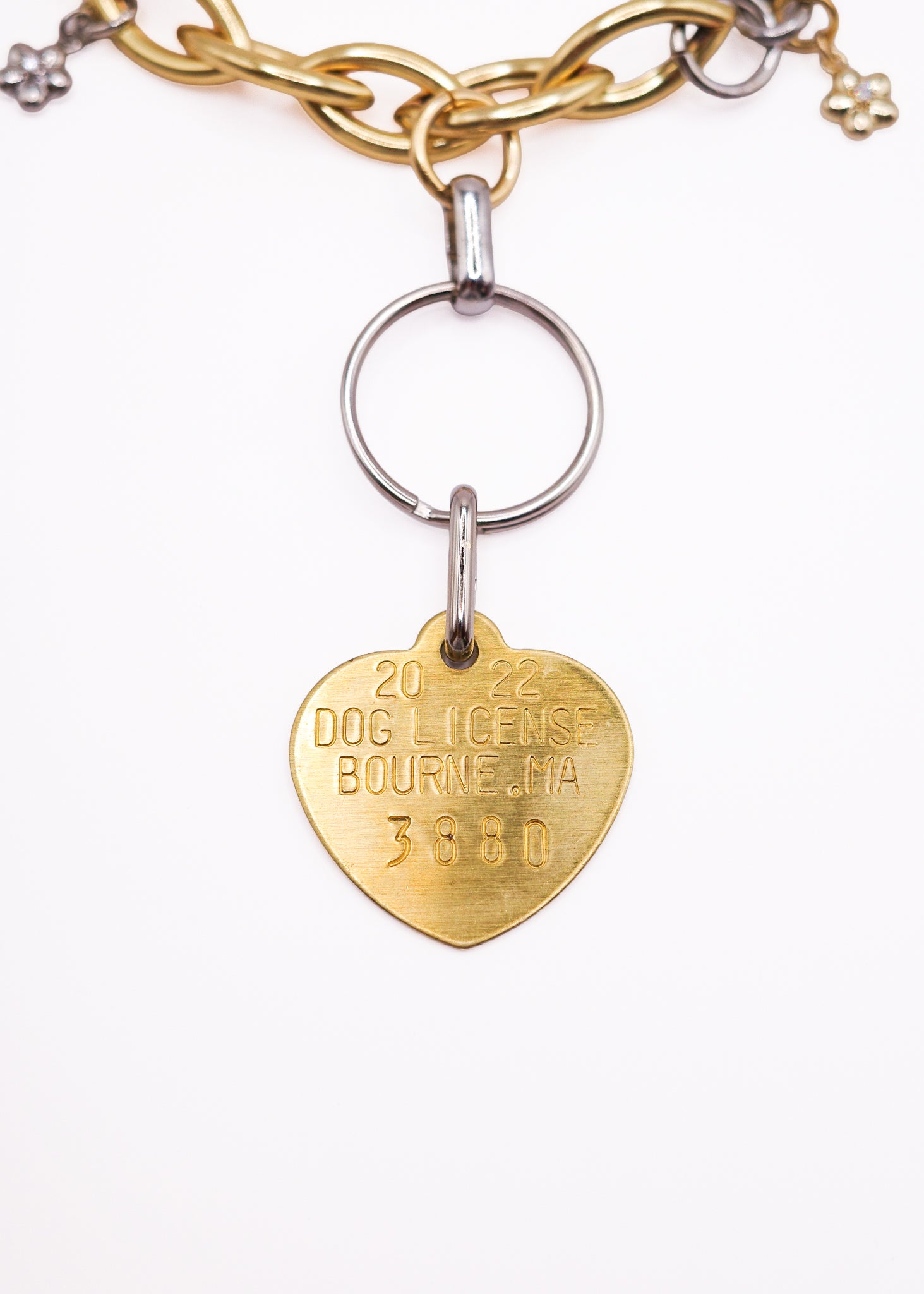 Limited Charm Necklace(3880)